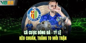 Cá Cược Bóng Đá – Tỷ Lệ Kèo Chuẩn, Thắng To Mỗi Trận