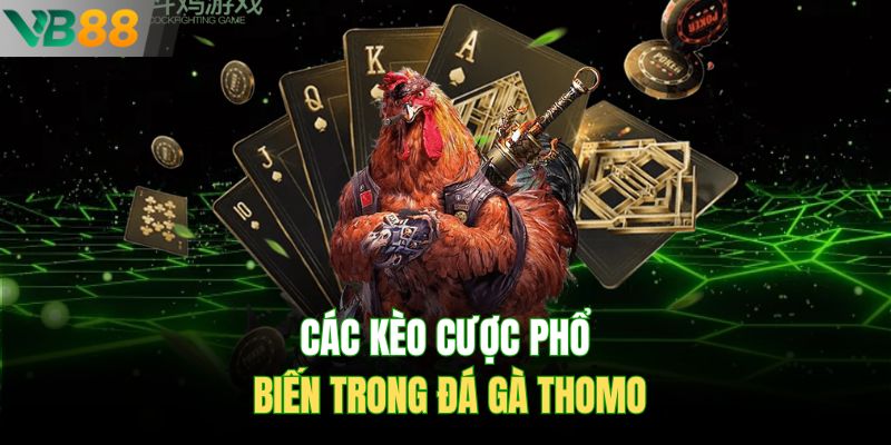Các kèo cược phổ biến trong đá gà Thomo