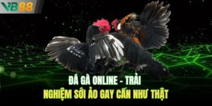 Đá Gà Online – Trải Nghiệm Sới Ảo Gay Cấn Như Thật
