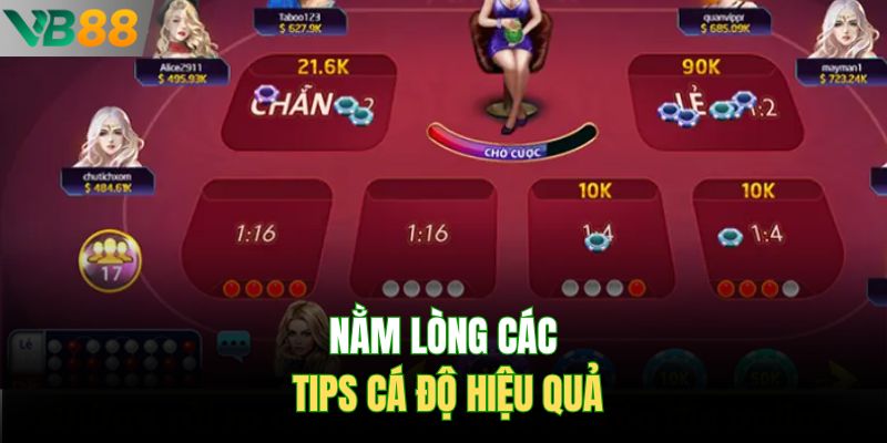 Nằm lòng các tips cá độ hiệu quả