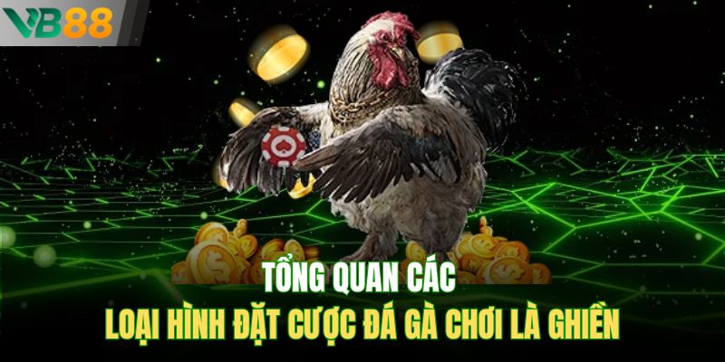Tổng quan các loại hình đặt cược đá gà chơi là ghiền