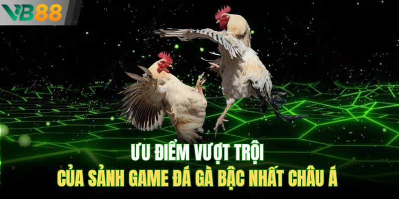 Ưu điểm vượt trội của sảnh game đá gà bậc nhất Châu Á
